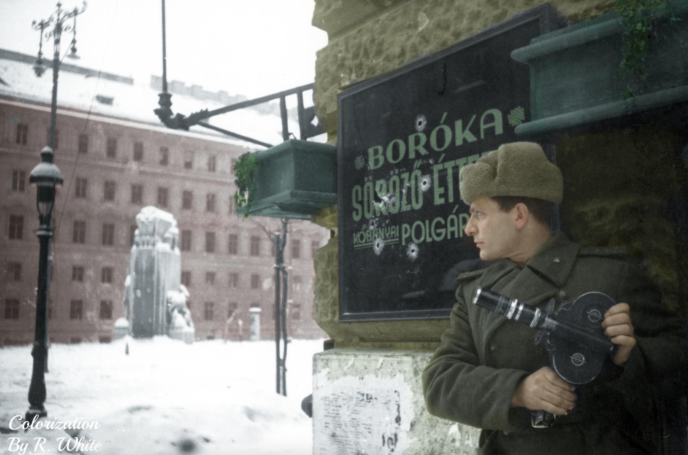 window into the past - Colorization By R. White Boroka Susse Et Kobnyai Polgar Sp.